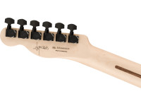 Fender Limited Edition Jim Root Telecaster EB Shoreline Gold Fender Limited Edition Jim Root Telecaster EB Shoreline Gold